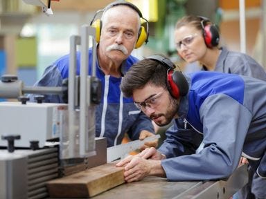 Praxisnahe Ausbildung innerhalb der Teilqualifizierung. Praxisnahe Ausbildung in holzverarbeitenden Berufen