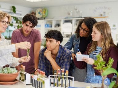 Eine Gruppe von Sch&uuml;lern experimentiert in einem Klassenaum mit der Lehrerin