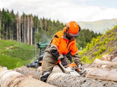 Ein Mann trägt eine Schutzausrüstung und hält eine Motorkettensäge in der Hand und sägt dabei einen Baum durch