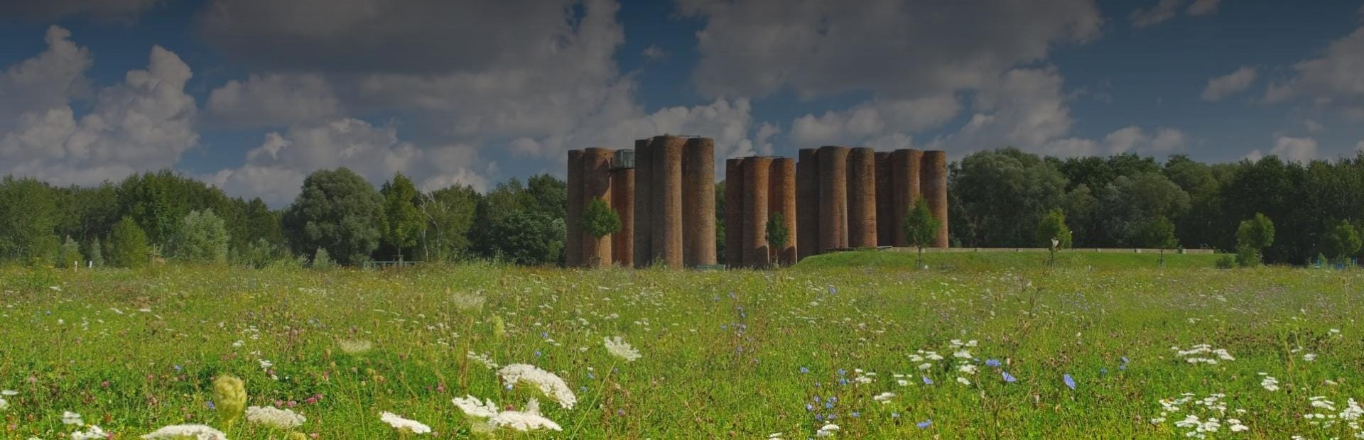 Weiterbildungen und Umschulungen in Lauchhammer